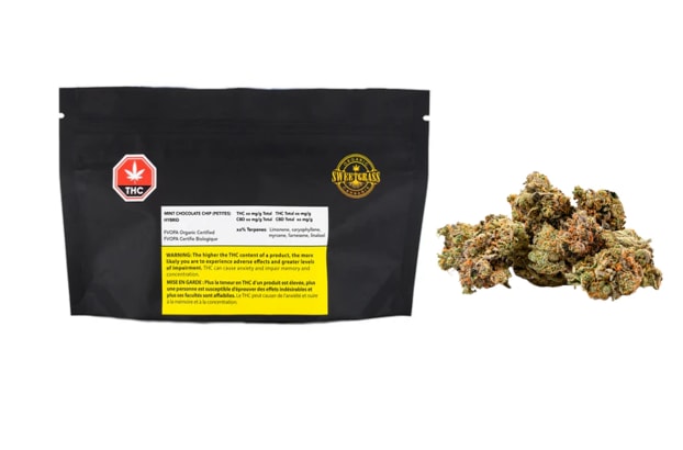 Organic Mint Chocolate Chip - Organic Mint Chocolate Chip Premium 14G